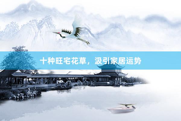十种旺宅花草，汲引家居运势