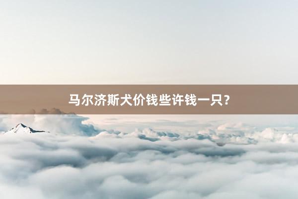 马尔济斯犬价钱些许钱一只？